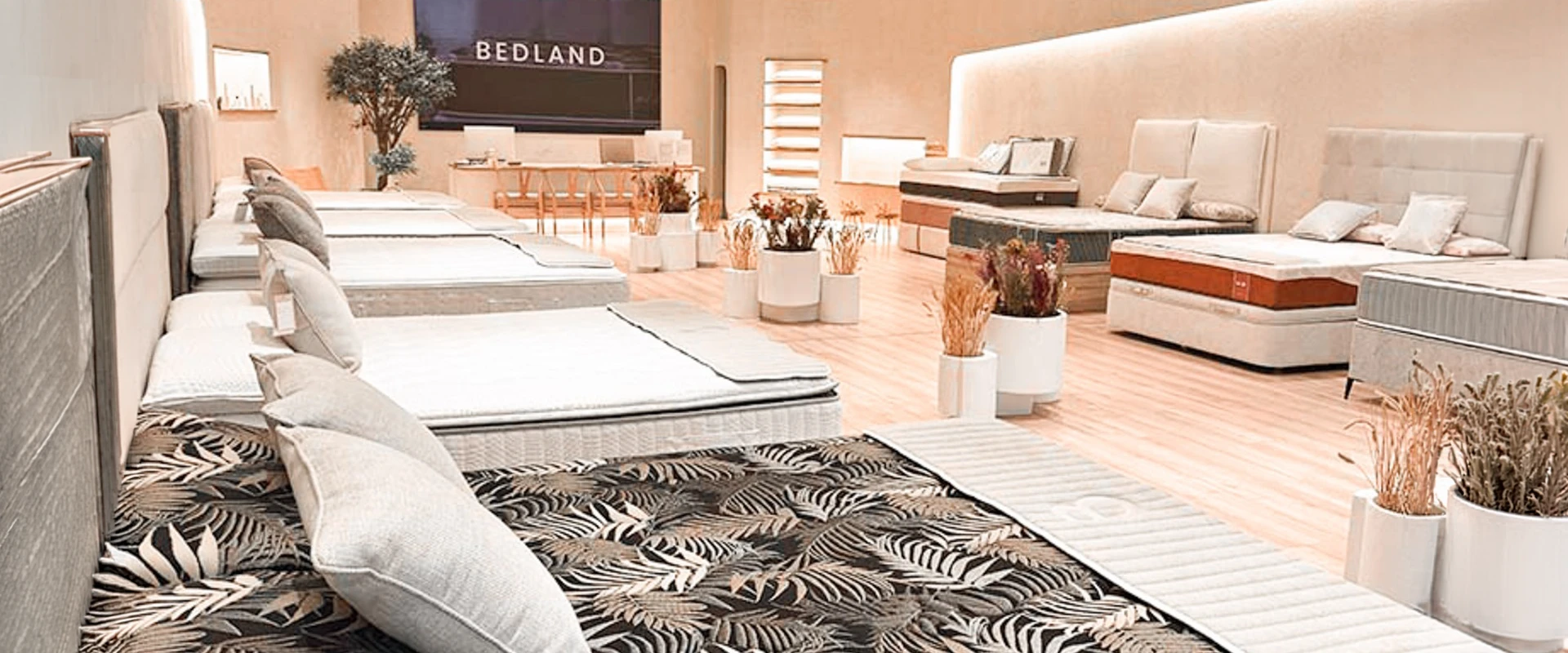 Bedland